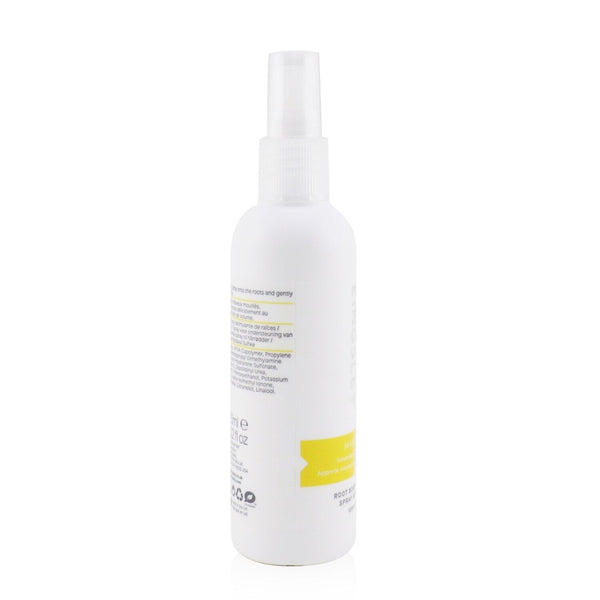 Philip Kingsley Maximizer Root Boosting Spray (Volumises and Lifts Fine Hair) 