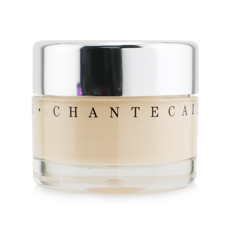 Chantecaille Future Skin Oil Free Gel Foundation - Aura 