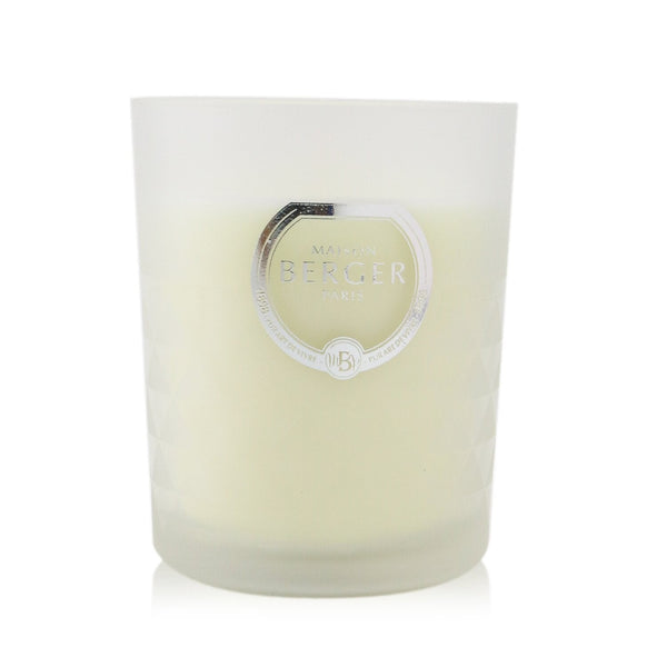 Lampe Berger (Maison Berger Paris) Scented Candle - Precious Jasmine 