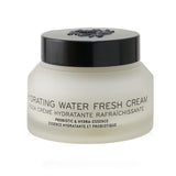 Bobbi Brown Hydrating Water Fresh Cream  50ml/1.7oz