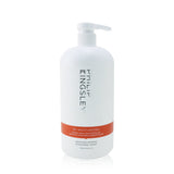 Philip Kingsley Re-Moisturizing Smoothing Shampoo 