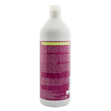 Redken Nature + Science Color Extend Vibrancy Conditioner (For Color-Treated Hair) 