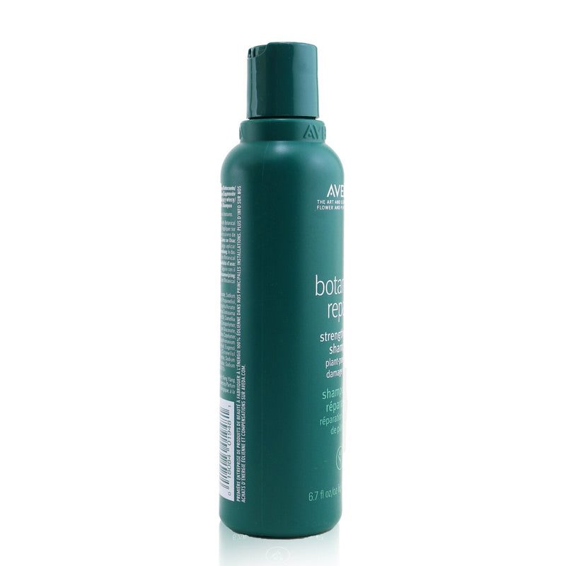 Aveda Botanical Repair Strengthening Shampoo 