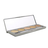 Colorescience Mineral Corrector Palette SPF20 (5x Corrector)  12g/0.42oz