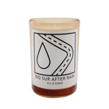 D.S. & Durga Candle - Big Sur After Rain  198g/7oz