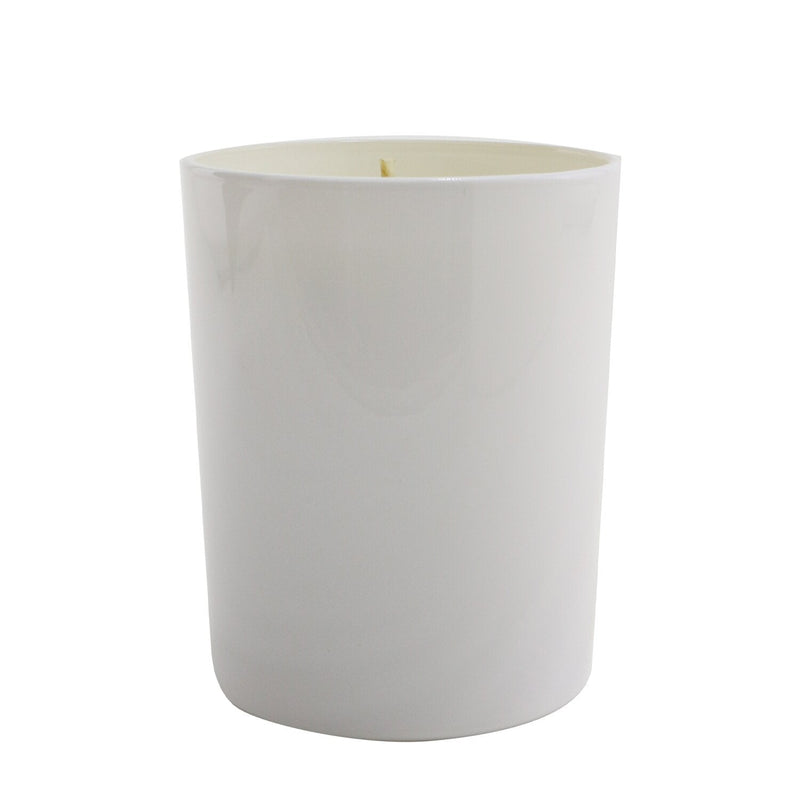 Max Benjamin Candle - Lemongrass & Ginger 