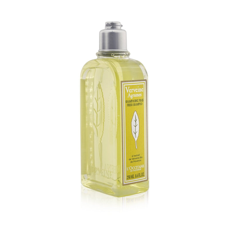 L'Occitane Citrus Verbena Fresh Shampoo  250ml/8.4oz