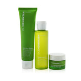 Ole Henriksen Balance It All Oil Control & Pore-Refining Set: Cleanser 60ml + Toner 65ml + Moisturizer 15ml  3pcs