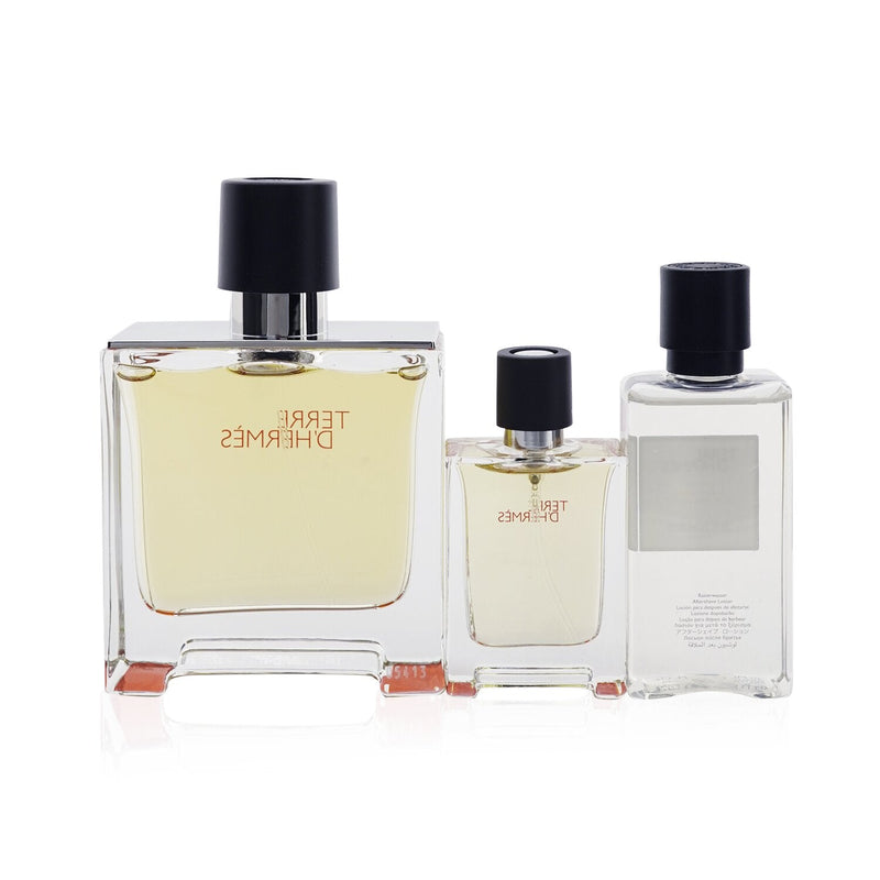 Hermes Terre D'Hermes Coffret: Pure Parfum Spray 75ml + Pure Parfum Spray 12.5ml + After-Shave Lotion 40ml  3pcs