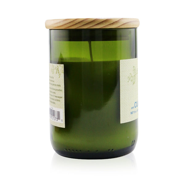 Paddywax Eco Candle - Basil & Cucumber  226g/8oz