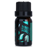 Natural Beauty Essential Oil - Eucalyptus  10ml/0.34oz