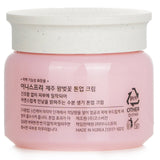 Innisfree Jeju Cherry Blossom Tone Up Cream  50ml/1.69oz