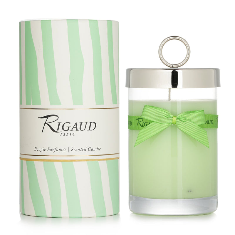 Rigaud Scented Candle - # Jasmin De Printemps  230g/8.11oz