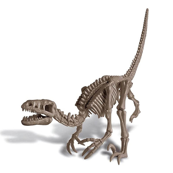 4M KidzLabs/Dig a Dinosaur Skeleton/Velociraptor  37x18x22.5mm