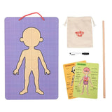 Tooky Toy Co Body Magnetic Chart  30x40x1cm