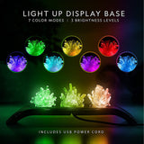 National Geographic National Geographic Light Up Crystal Growing Kit  23 x 9 x 29cm