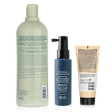Pelo Baum Pelo Baum Hair Revitalizing Solution 60ml + Aveda Volumizing Shampoo 1000ml + L'Oreal Resurfacing Conditioner 200ml  3pcs
