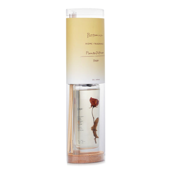 Botanica Home Fragrance Plante Diffuser - Rose  145ml/4.9oz