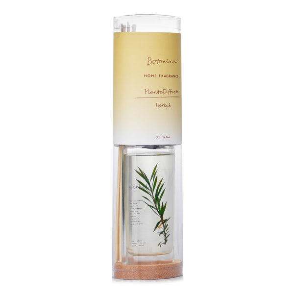 Botanica Home Fragrance Plante Diffuser - Herbal  145ml/4.9oz