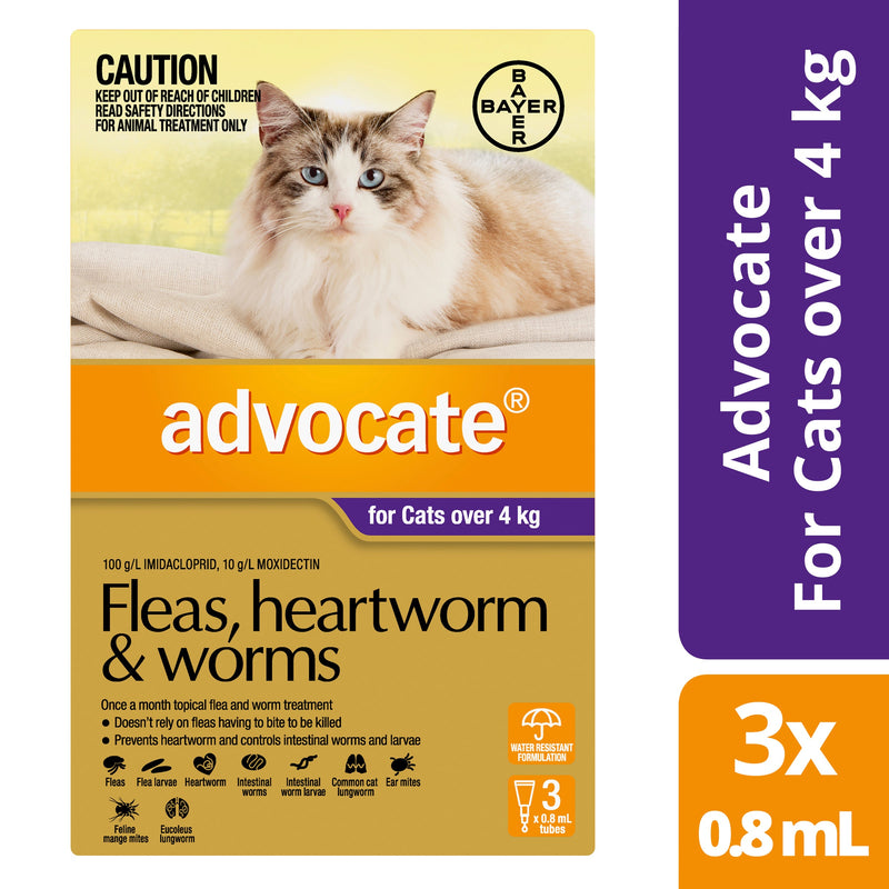 Advocate Cat Over 4 kg Large 3s