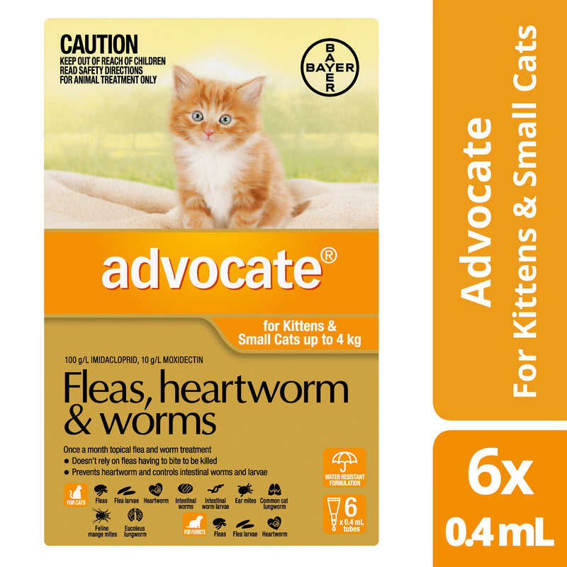 Advocate Cat 0-4 kg Small 6s