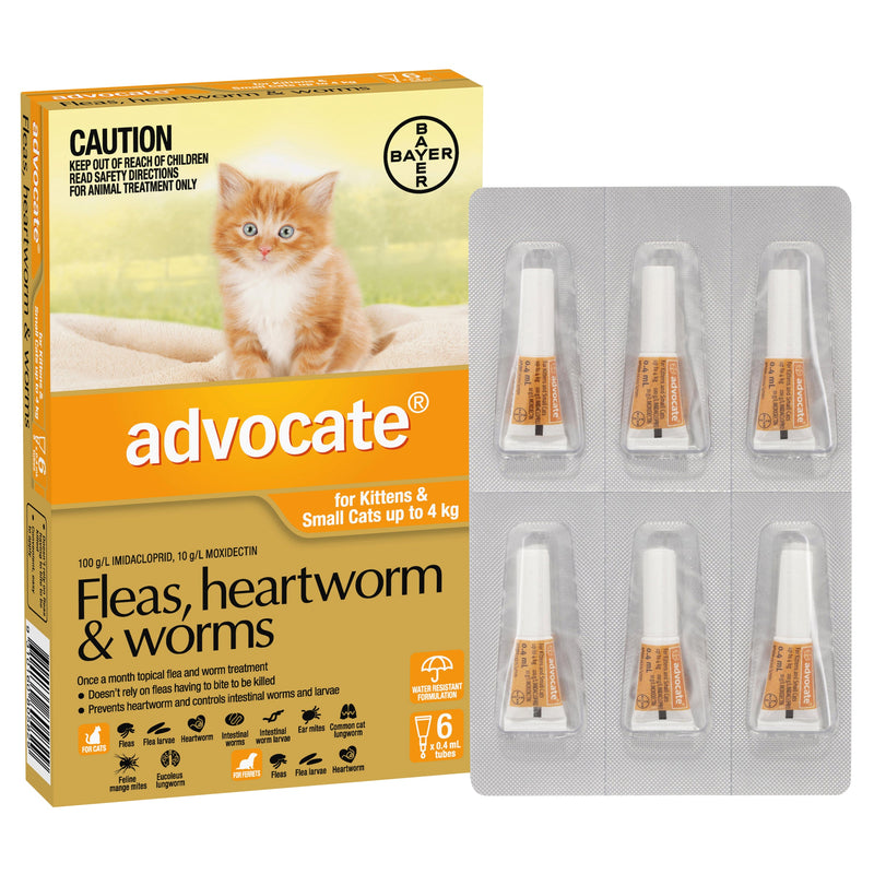 Advocate Cat 0-4 kg Small 6s