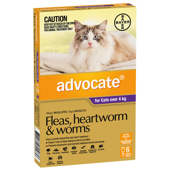 Advocate Cat Over 4 kg Large 6s