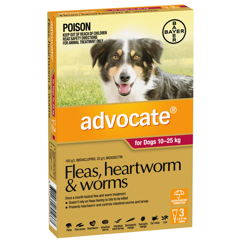 Advocate Dog 10-25 kg Large 3s