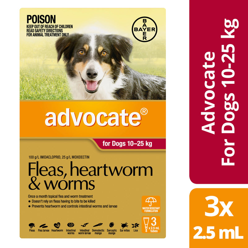 Advocate Dog 10-25 kg Large 3s