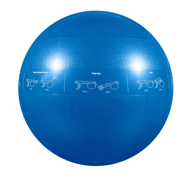 GoFit Pro Guide Ball 55cm
