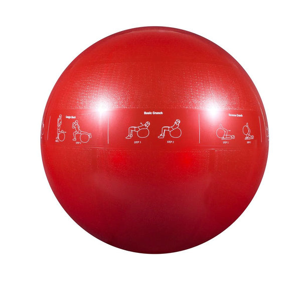 GoFit Pro Guide Ball 65cm