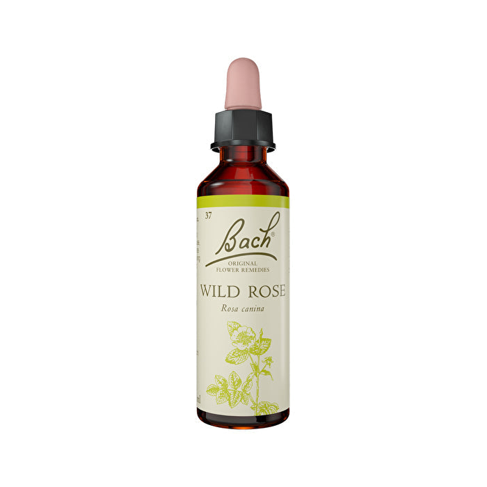 Juno Labs Bach Flower Remedies Bach Flower Remedies Wild Rose 20ml