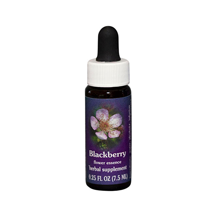 Fes Flower Essences FES Quintessentials Blackberry 7.5ml