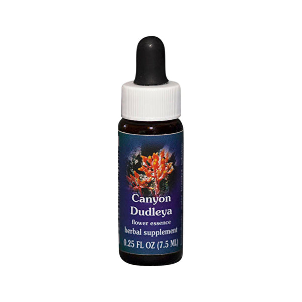 Fes Flower Essences FES Quintessentials Canyon Dudleya 7.5ml