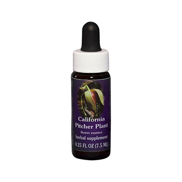 Fes Flower Essences FES Quintessentials California Pitcher Plant 7.5ml