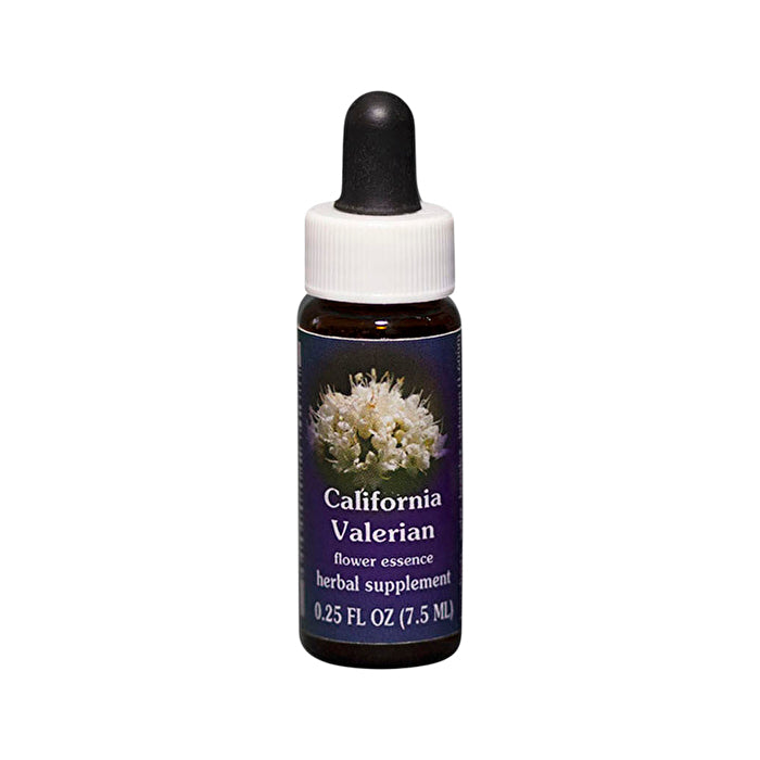 Fes Flower Essences FES Flower Essences Quintessentials (Range Of Light) California Valerian 7.5ml