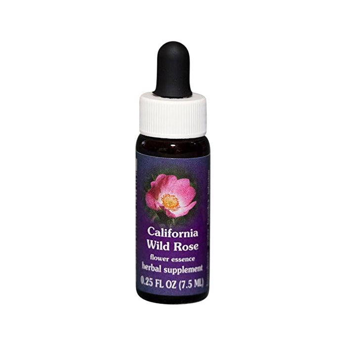 Fes Flower Essences FES Quintessentials California Wild Rose 7.5ml