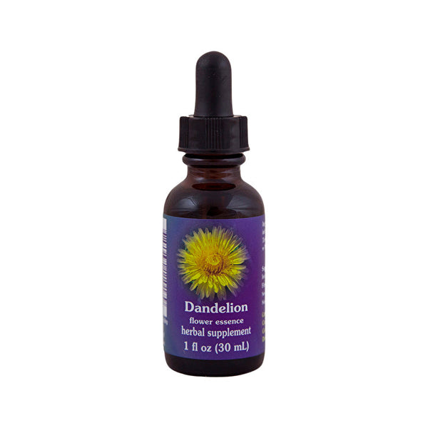 Fes Flower Essences FES Quintessentials Dandelion 30ml