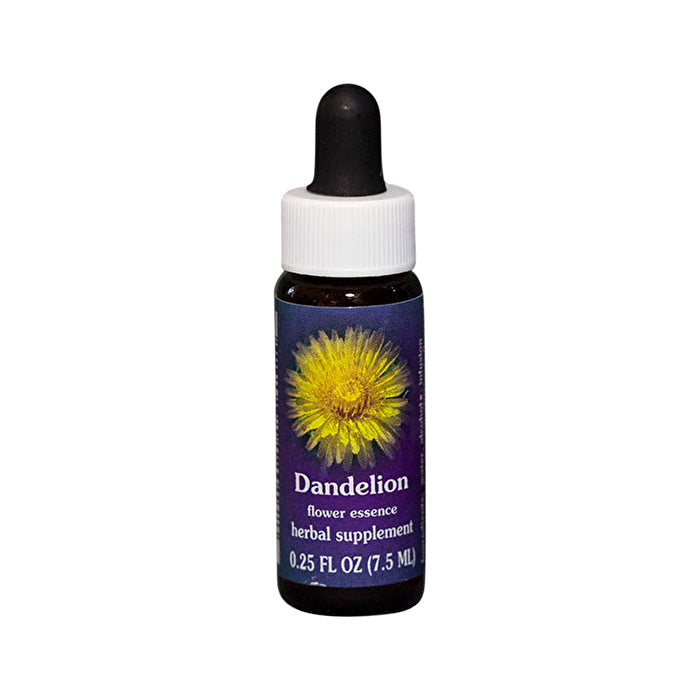 Fes Flower Essences FES Quintessentials Dandelion 7.5ml