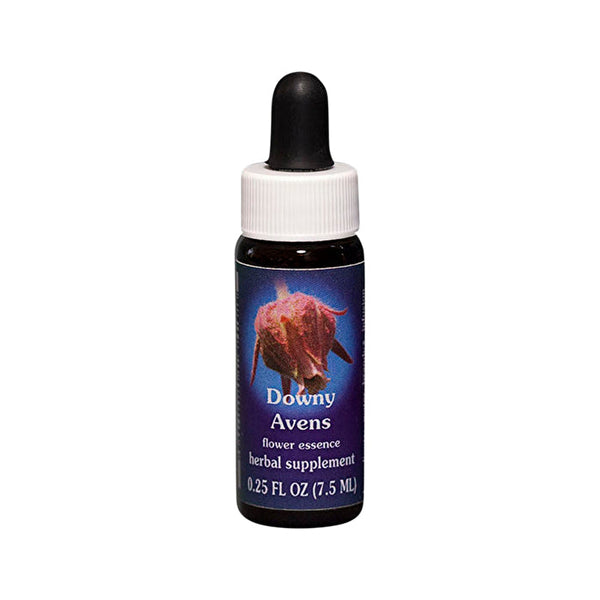 Fes Flower Essences FES Quintessentials (Research) Downy Avens 7.5ml