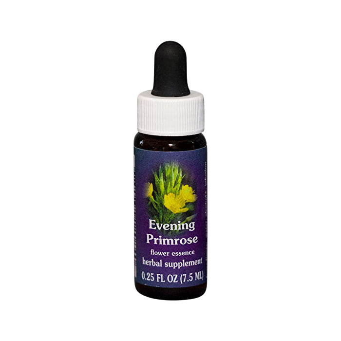 Fes Flower Essences FES Quintessentials Evening Primrose 7.5ml