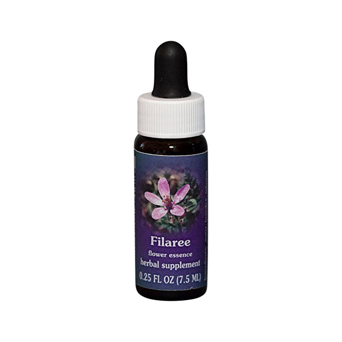 Fes Flower Essences FES Quintessentials Filaree 7.5ml