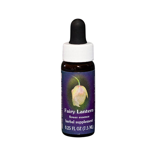 Fes Flower Essences FES Quintessentials Fairy Lantern 7.5ml