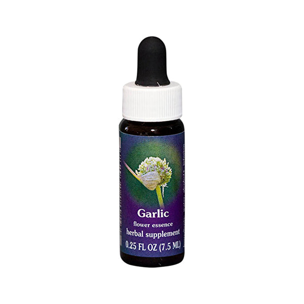 Fes Flower Essences FES Quintessentials Garlic 7.5ml