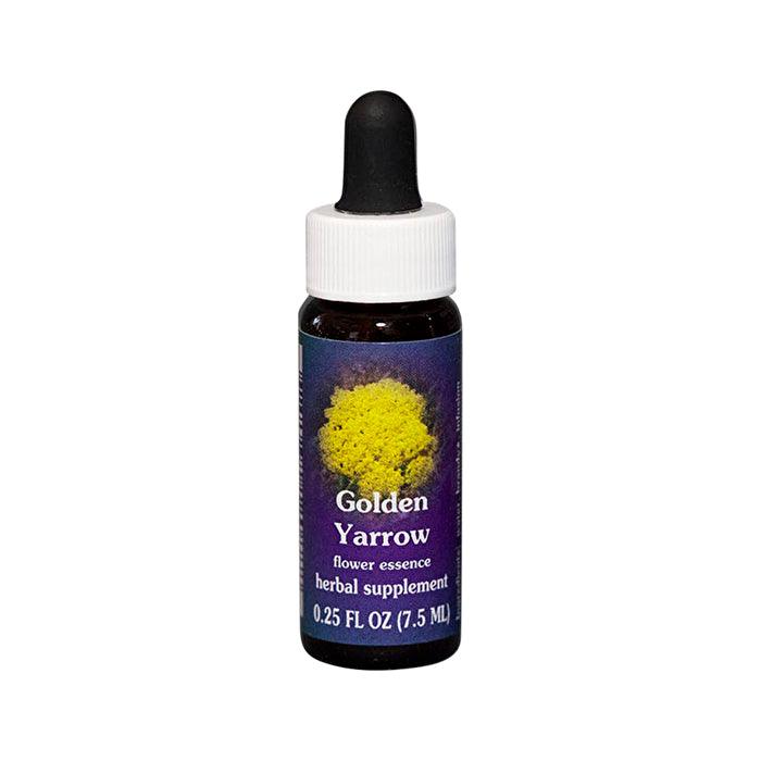 Fes Flower Essences FES Quintessentials Golden Yarrow 7.5ml