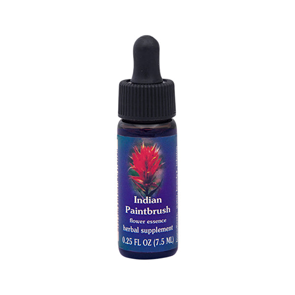 Fes Flower Essences FES Quintessentials Indian Paintbrush 7.5ml