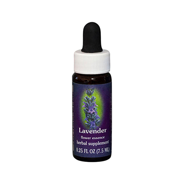 Fes Flower Essences FES Quintessentials Lavender 7.5ml