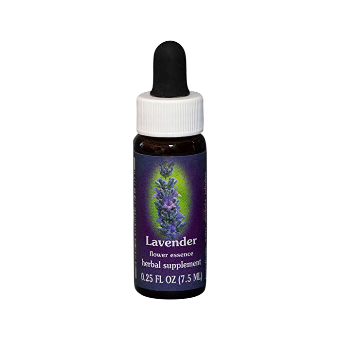 Fes Flower Essences FES Quintessentials Lavender 7.5ml