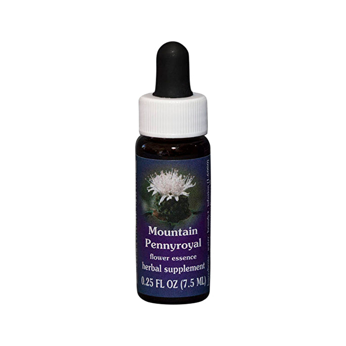 Fes Flower Essences FES Quintessentials Mountain Pennyroyal 7.5ml