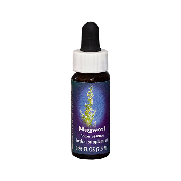 Fes Flower Essences FES Quintessentials Mugwort 7.5ml